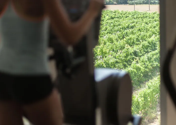 Domaine De Verchant & - Relais & Chateaux